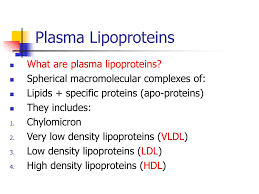 Ppt Plasma Lipoproteins Powerpoint Presentation Free Download Id 4493860