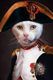 Katzenportraits Katzen In Kleidung Katze Im Anzug Gemalde In Uniform Katzen In Kleidung Katzen Design Katzen Kleidung