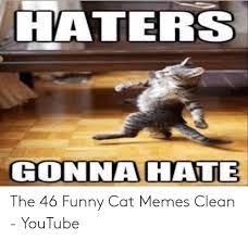 Funny cat memes clean 2018. 25 Funny Cat Memes Clean Factory Memes