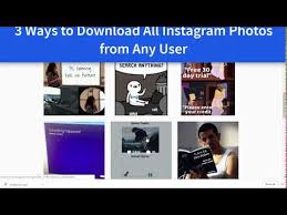 Maybe you would like to learn more about one of these? Download All Instagram Videos From Any User Free Download Videos Mp3 And Mp4 Squirrel Girls