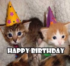 100 Best Happy Birthday Cat Memes Images Happy Birthday Cat Cat Birthday Memes Funny Happy Birthday Meme