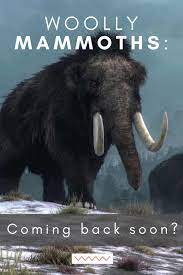 How Mammoths Could Save Us All Mammoth Extinct Animals Wooly Mammoth