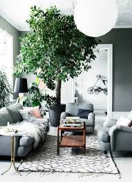 25 genial pflanzen dekoration wohnzimmer dekoration wohnzimmer. Mit Zimmerpflanzen Das Zuhause Dekorieren 60 Beispiele Wie Sie Das Verwirklichen