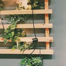 Aesthetic Tumblr Cute Bright Grunge Instagram Photography Feed Green Lights Ikea Wood Plants