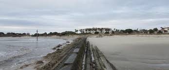 In human anatomy, the groin (the adjective is inguinal, as in inguinal canal) is the junctional area (also known as the inguinal region) between the abdomen and the thigh on either side of the pubic bone. Selc Coastal Partners Challenge Federal Permit For Georgia Groin Southern Environmental Law Center