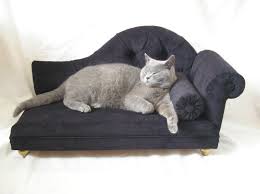 Catch lounge &tradition chaise longue. Cat Scratch Velvet Sofa Www Macj Com Br