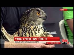 Cnn Turk Yayininin Konugu Puhu Kusuydu Youtube