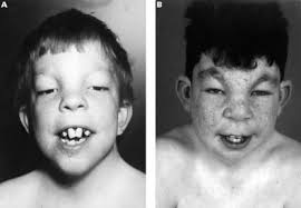 Letters to the Editor