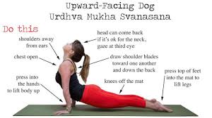 Do This Not That Upward Facing Dog Urdhva Mukha Svanasana Upward Facing Dog Upward Facing Dog Pose Yoga Poses