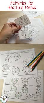Pin On Science For Secondary Grades Biology Chemistry Physics And More