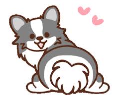 Pretty Chihuahua Animated Cute Gif Animation Love Stickers