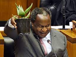 Peter godongwana / lindiwe sibiya. 76yeuncwevywmm