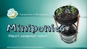 Miniponics Aquaponics In Under 10 Youtube