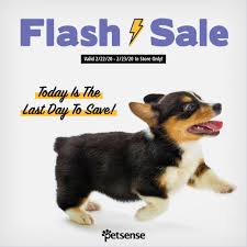 Petsense On Twitter Get Here Quick These Deals Will Be Gone In A Flash Today Is The Last Day To Save On Our Flash Sale Deals Click The Link To Get