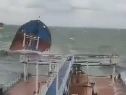 Image result for Tan 2024 Fleet