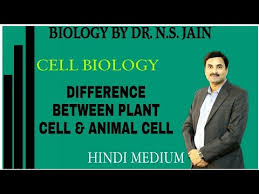 Maybe you would like to learn more about one of these? Difference Between Plant Cell Animal Cell Cell Biology Hindi Medium Youtube