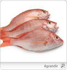 We did not find results for: Comment Appelle T On Une Personne Qui Mange Que Du Poisson