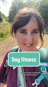 Niche agility and dog fitness content today y’all. #dogagility #agility  #agilitydog #dogfitness