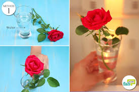Avoid scissors, which can pinch the water channels of the stalks. Easy Tricks To Keep Flowers Fresh For Longer 9 Pro Ideas Fab How