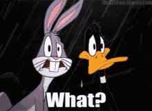 Create and share your own gifs, amazing moments and funny reactions with gfycat Bugs Daffy Gifs Tenor