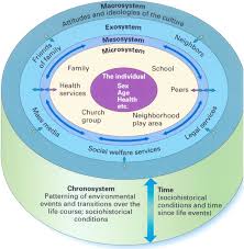 Ecological Systems Theory Cd350 Hansen Ecological Systems Theory Ecological Systems Systems Theory