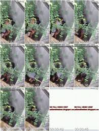 yeferson cossio Viral Sex Videos - AsianPinay