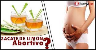 El Zacate De Limon Es Abortivo Es Abortivo