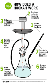 We did not find results for: How To Use A Hookah Fumari Hookah Blog