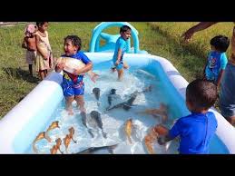 Sneyha Arbin Javan Fun Playing With Real Fish In Inflatable Swimming Pool Cute Sneyha S Show In 2020 Inflatable Swimming Pool Big Swimming Pools Swimming Pools