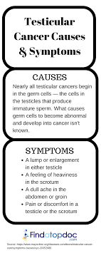 According to the testicular cancer society: Testicular Cancer Causes And Symptoms Findatopdoc