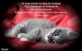 RÃ©sultat de recherche d'images pour "gif belle nuit chaton"