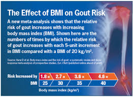 Gout Risk Linked To Body Mass Index Renal And Urology News