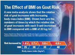 gout risk linked to body mass index renal and urology news