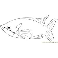 Free printable coloring pages rainbow fish coloring pages. Rainbow Fish Coloring Page For Kids Free Other Fish Printable Coloring Pages Online For Kids Coloringpages101 Com Coloring Pages For Kids