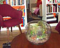 New custom enclosure i ve built aussie pythons snakes snake reptile diy. How To Make Your Own Terrarium