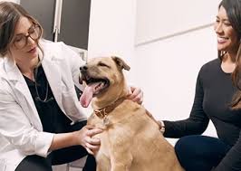 We took her for the second one this week and the bill was $97!!! Veterinary Services Provided By Petco Quality Care For Your Pet Petco