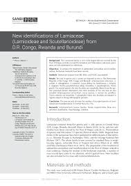 Image result for Achyrospermum micranthum