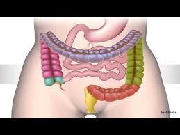 Κανένα φάρμακο δεν έχει αποδειχτεί παντού και πάντοτε αποτελεσματικό στο σύνδρομο ευερεθίστου εντέρου. Diatrhsh Stomaxoy Symptwmata Aitia Epiplokes Kai 8erapeia Vid