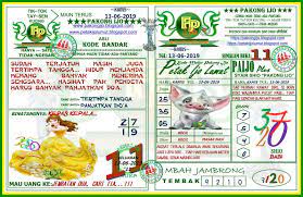 Pakong Ijo 2019