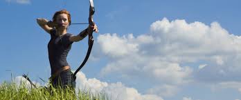 Archery Training, Equipment, & Range | Longmont, CO | Archery in ...