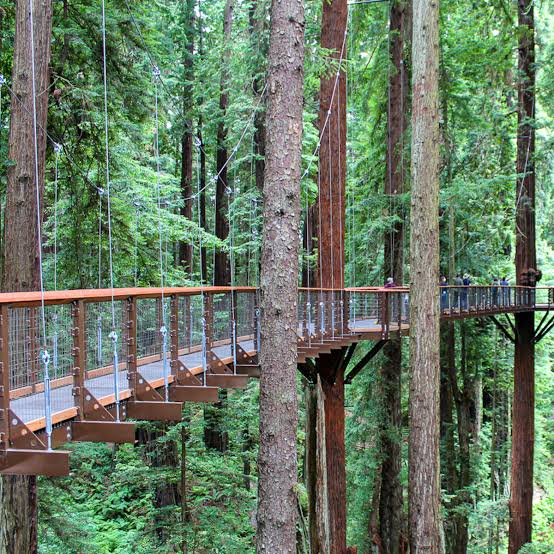 9 Fantastic Things To Do In Eureka In The Fall | TravelAwaits