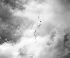 История о мошеннике и серийном убийце чарльзе сображе. Un Serpent Dans Le Ciel Hicham Berrada