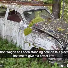 Image result for Sandrunner Gray 1931 Nash