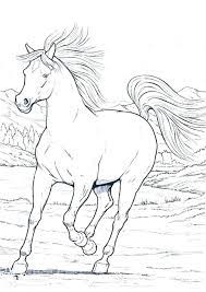 These types of printable horse coloring pages come with directions for simple, even beginners to coloring to create a horse drawing on the page. Detailed Horse Coloring Pages Free Realistic Horse Coloring Pages Wild In Running Horses Page Free Re Horse Coloring Horse Coloring Pages Coloring Pages Horses