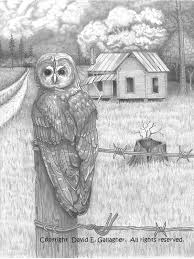 See more ideas about barn drawing, pencil drawings, drawings. Barn Owl Pencil Drawing Art Print