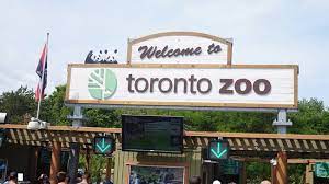 The toronto zoo is set in the beautiful rouge valley. Grizzly Bear Picture Of Toronto Zoo Tripadvisor