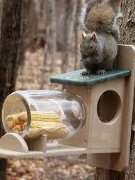 Birds Choice Squirrel Jar Feeder Gardener S Supply Squirrel Feeder Diy Bird Feeders Squirrel Feeder