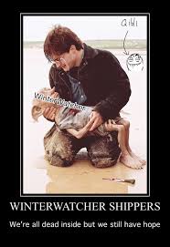 Honestly I Didn T Really Care Who Moon Ended Up With I Just Ended Up Shipping Winter Harder Than I Did With Mo Wings Of Fire Dragons Wings Of Fire Kids Books