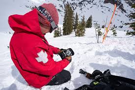 Only need to add a tourniquet, triangle bandage, space blanket, and medications to make it a real ifak. Buy Adventure Medical Kits Trauma Pak With Quikclot Online In Turkey B003bs2pw4