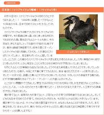 ミナミジサイチョウ 分類：サイチョウ目 サイチョウ科 学名：bucorvus leadbeateri 英名：southern ground hornbill 分布：南アフリカ 目のまわりと、喉の皮膚が鮮やかな赤色で、喉に空気をためてふくらませることができます。当園で2009. ãŠæ°—æ¥½ã‚³ã‚¶ãƒƒã‚¯ãƒ©ãƒ¼ã®ã‚³ã‚¶ã‚¯ãƒ©ã‚¤ãƒ• Fc2 2009 08 17 æ—¥æœ¬åˆ ãƒŸãƒŠãƒŸã‚¸ã‚µã‚¤ãƒãƒ§ã‚¦ç¹æ®–ã«æˆåŠŸ